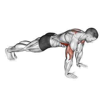 Push-Up